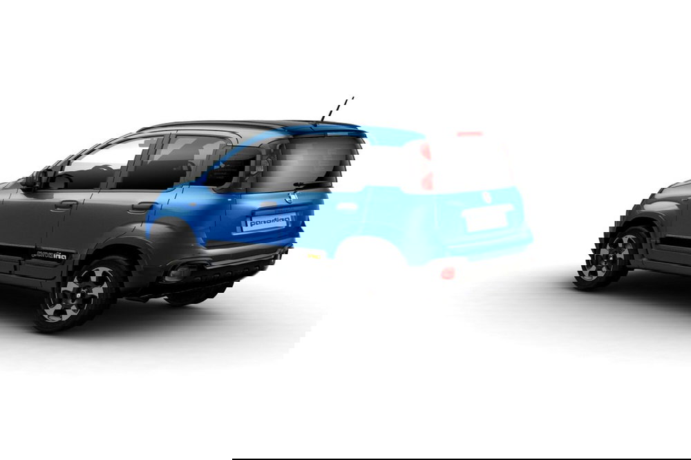 Fiat Pandina usata a Cosenza (2)