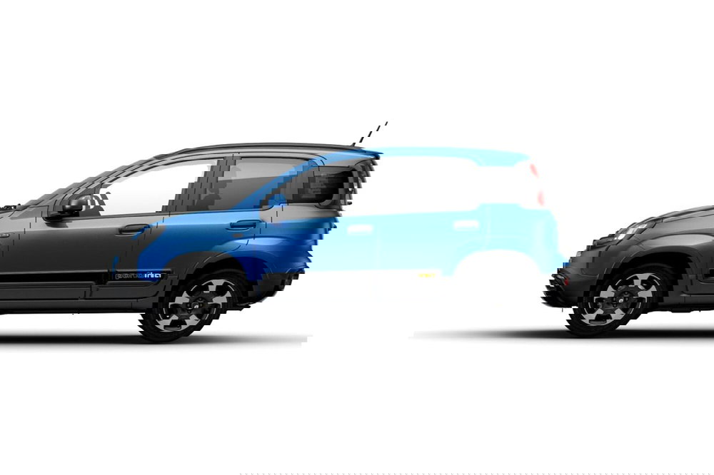 Fiat Pandina usata a Cosenza (3)