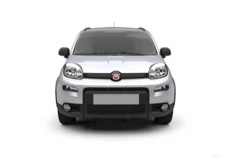 Fiat Pandina usata a Cosenza (4)