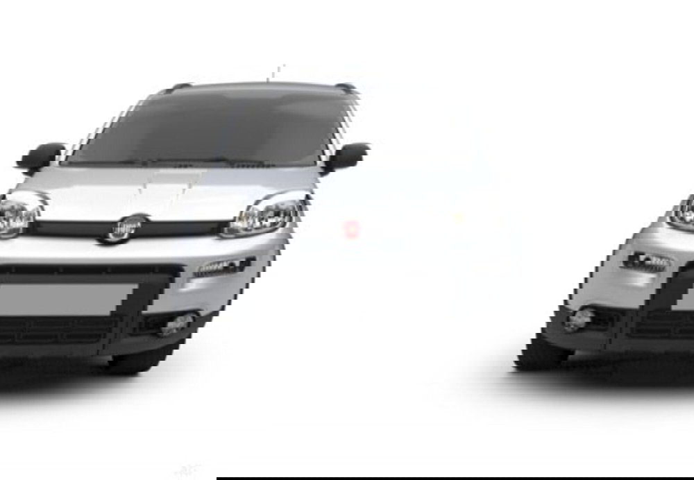 Fiat Pandina usata a Cosenza (4)