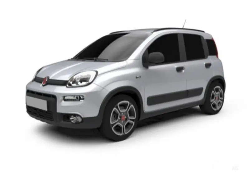 Fiat Pandina usata a Cosenza (6)