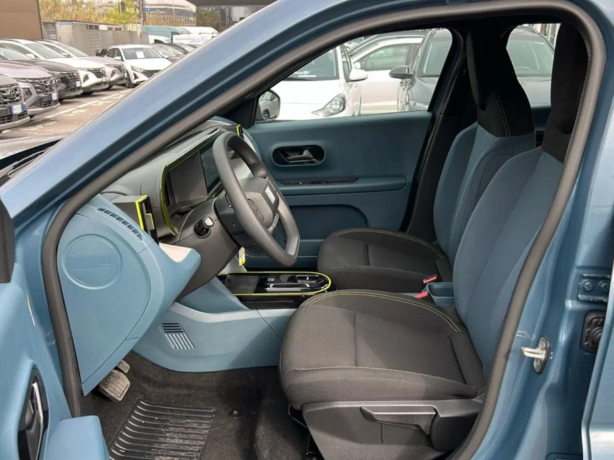 Fiat Grande Panda usata a Roma (13)