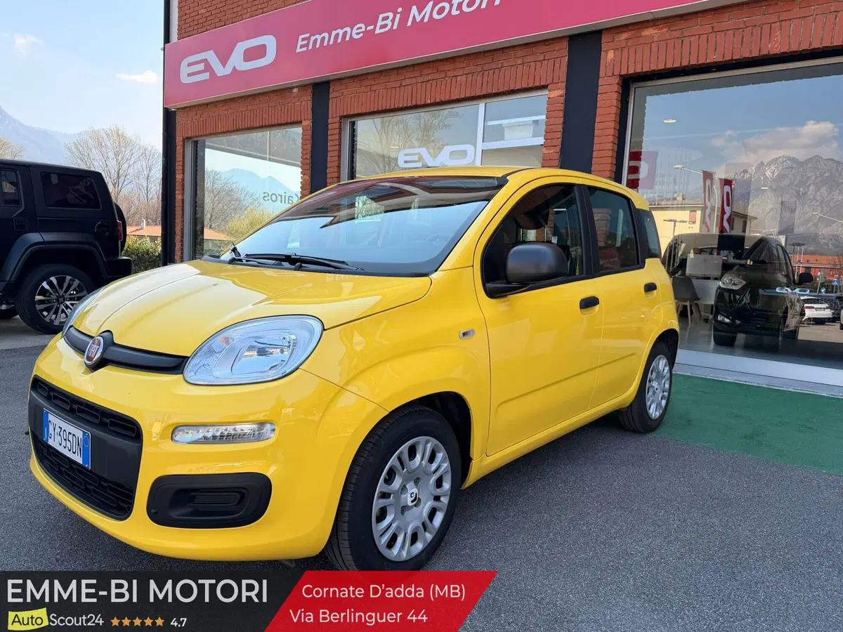 Fiat Panda Cross usata a Lecco (15)