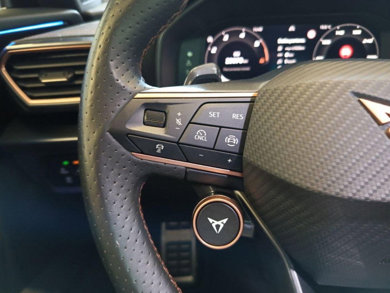 Cupra Formentor usata a Varese (17)