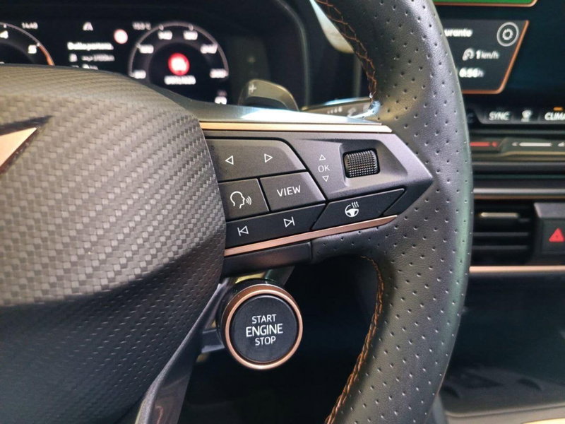 Cupra Formentor usata a Varese (18)