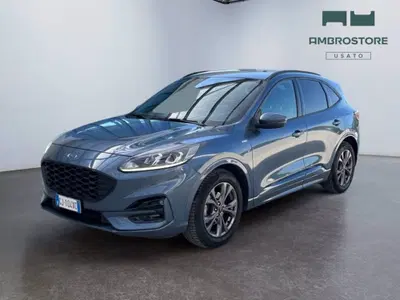 Ford Kuga 1.5 EcoBlue 120 CV 2WD ST-Line del 2022 usata a Segrate