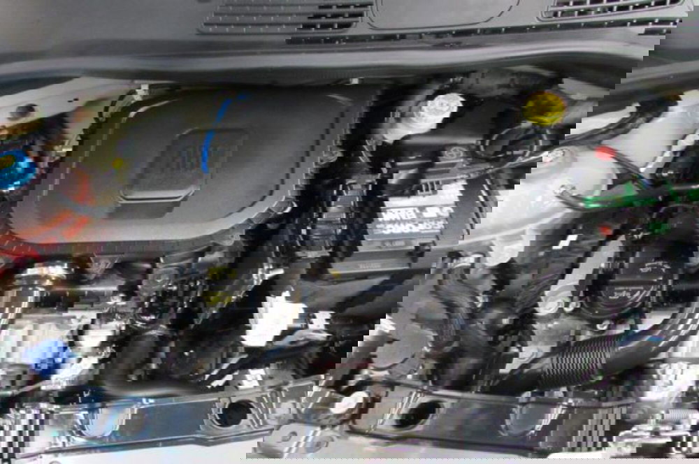 Fiat Panda usata a Milano (18)