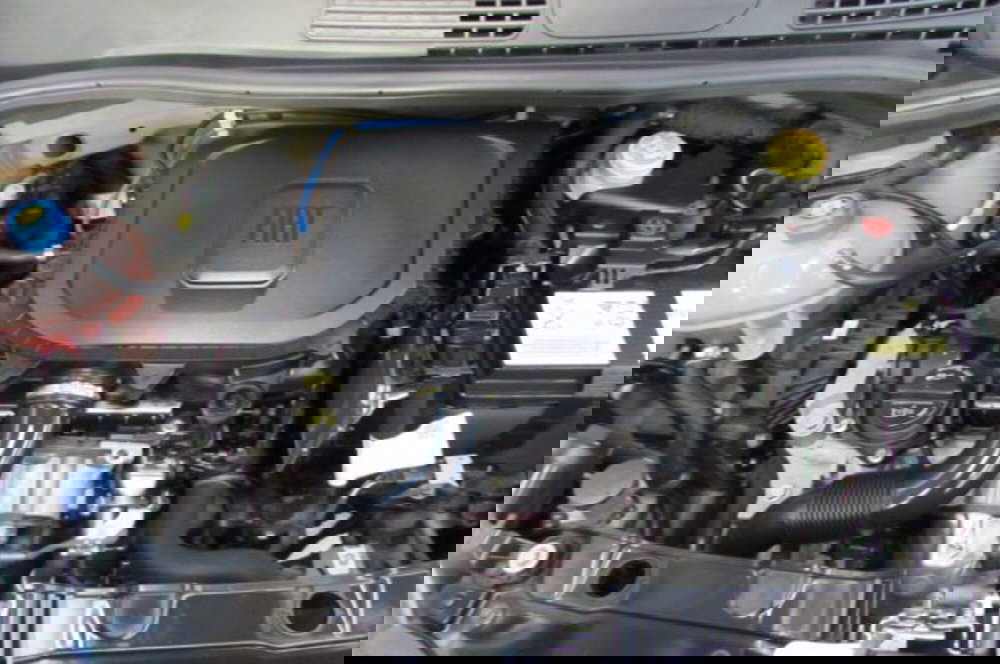 Fiat Panda usata a Milano (17)