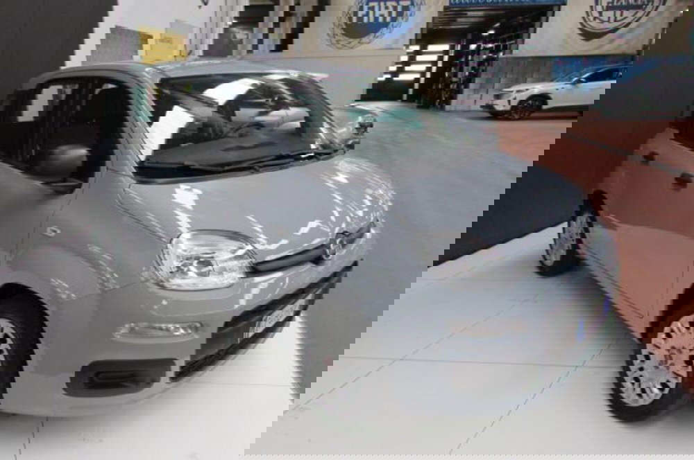 Fiat Panda usata a Milano (2)