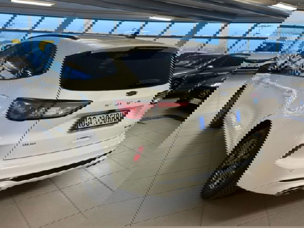 Ford Kuga usata a Cuneo (5)