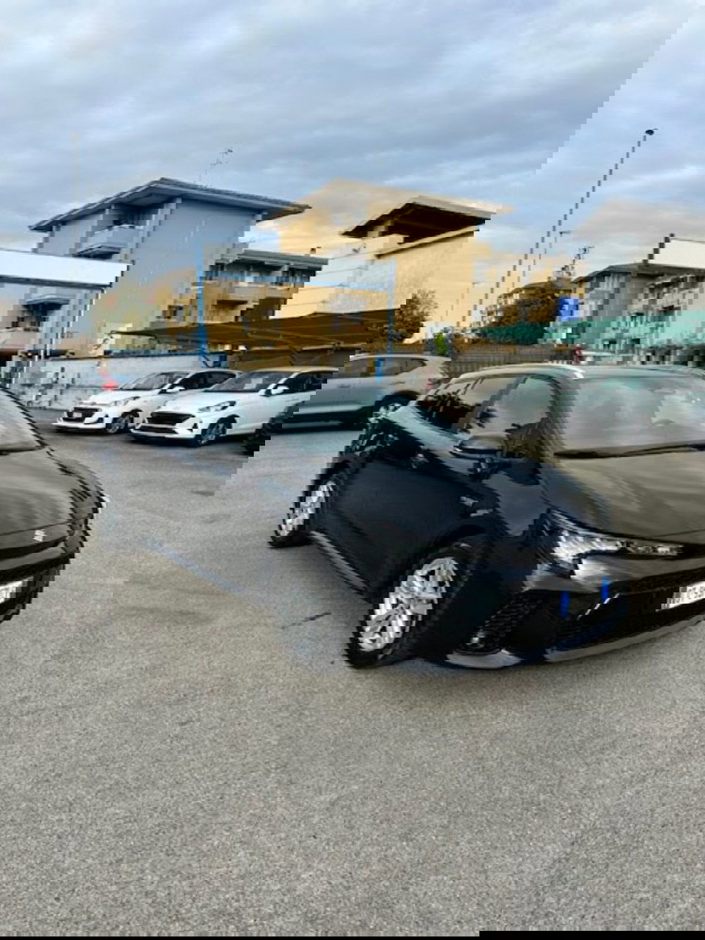 Suzuki Swace usata a Novara