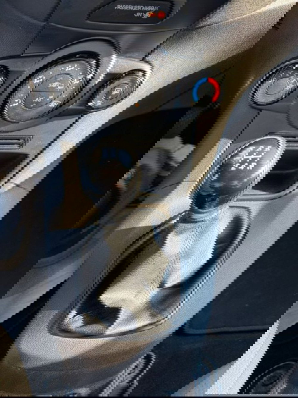 Ford Fiesta usata a Lodi (9)