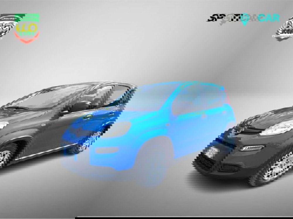 Fiat Panda usata a Frosinone