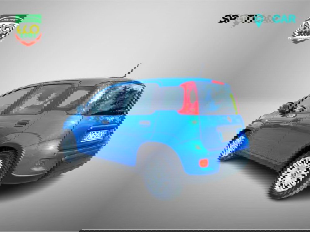 Fiat Panda usata a Frosinone (14)