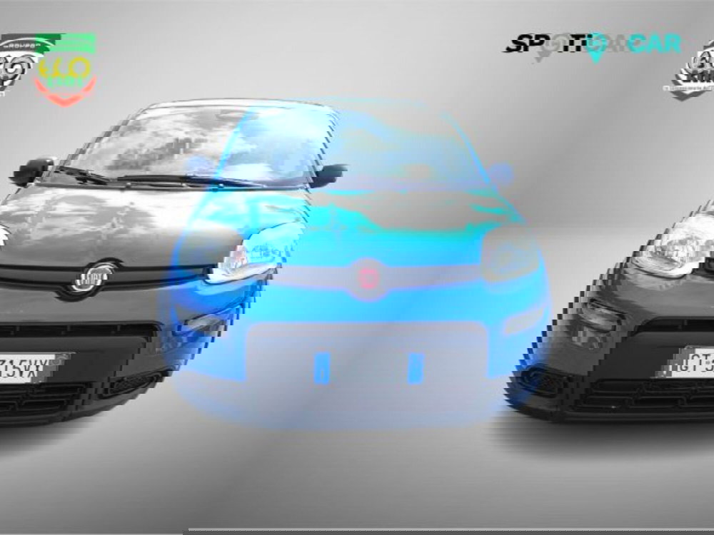 Fiat Panda usata a Frosinone (2)