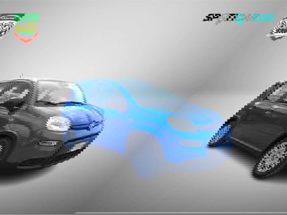 Fiat Panda usata a Frosinone (3)