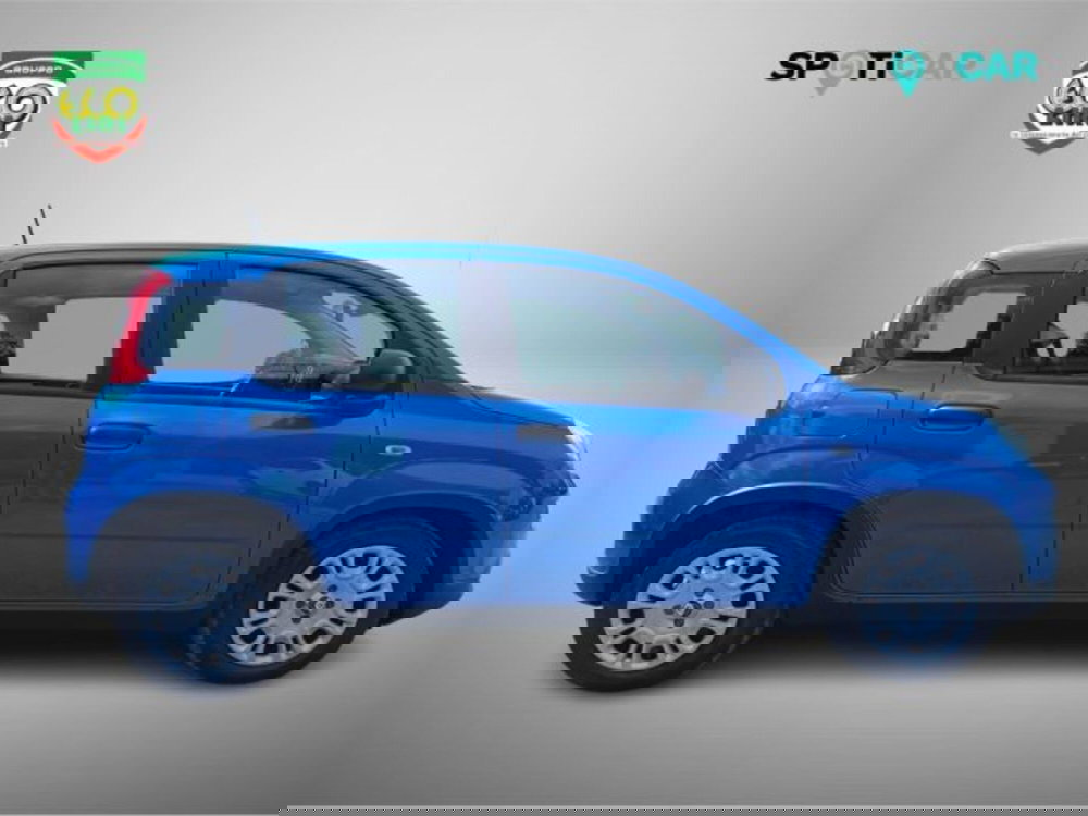 Fiat Panda usata a Frosinone (4)