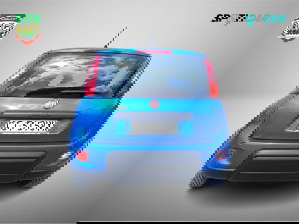 Fiat Panda usata a Frosinone (5)