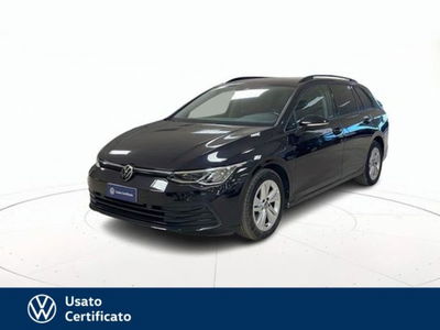 Volkswagen Golf Variant 1.5 TGI DSG Life del 2021 usata a Arzignano