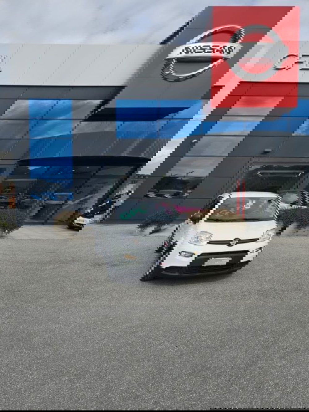 Fiat Panda usata a Lucca