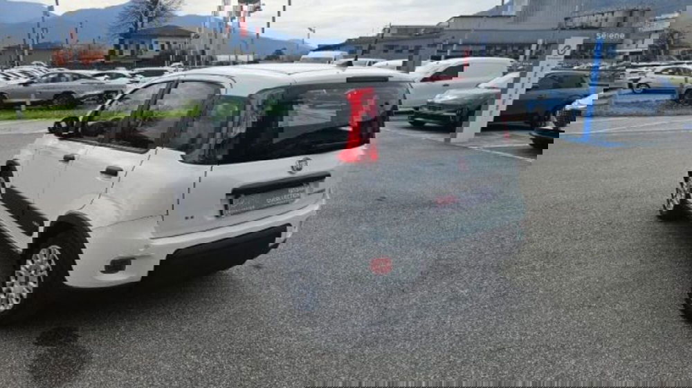 Fiat Panda usata a Lucca (6)