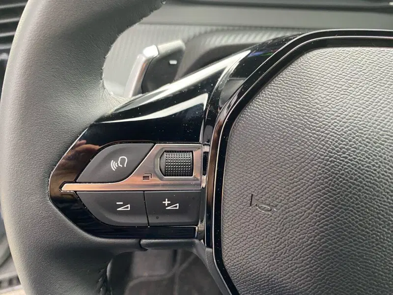 Peugeot 2008 usata a Torino (12)