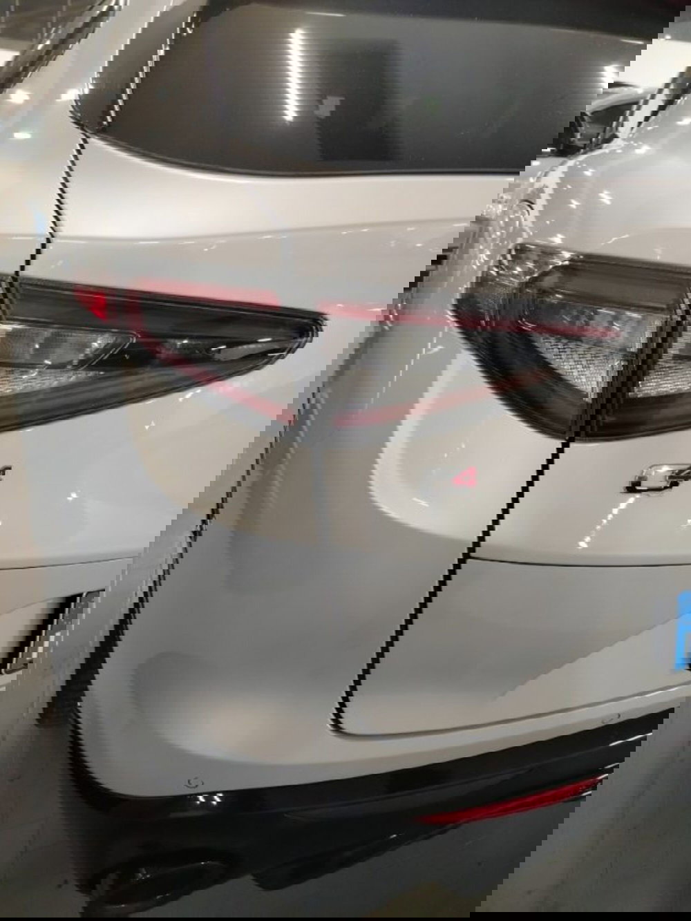 Alfa Romeo Stelvio usata a Forlì-Cesena (13)