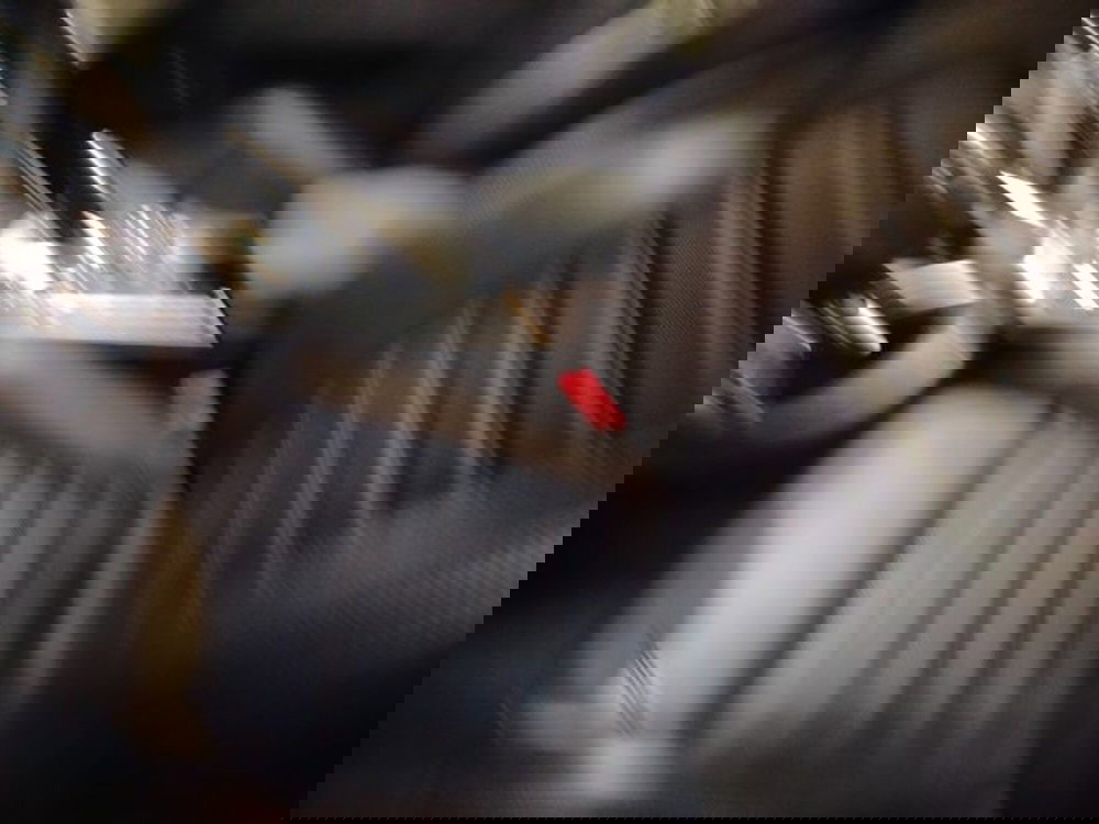 Alfa Romeo Stelvio usata a Forlì-Cesena (14)