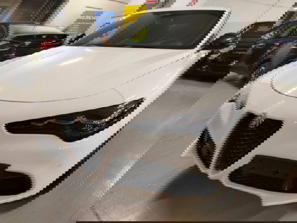 Alfa Romeo Stelvio usata a Forlì-Cesena (2)