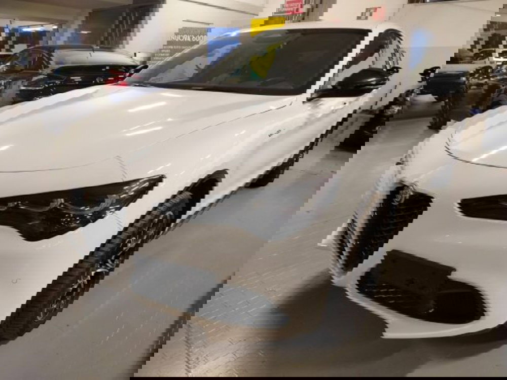 Alfa Romeo Stelvio usata a Forlì-Cesena (3)