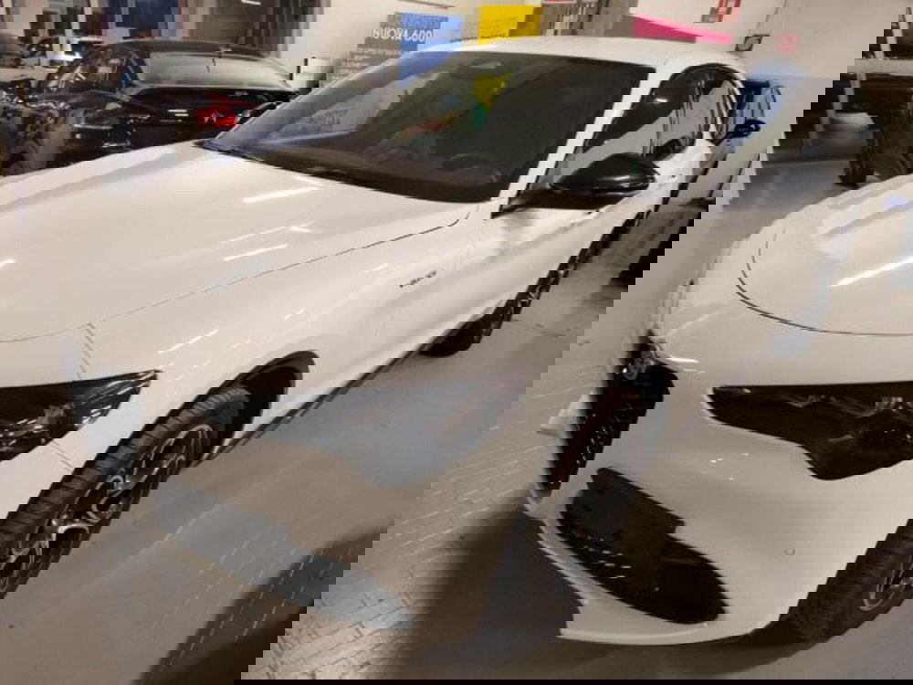 Alfa Romeo Stelvio usata a Forlì-Cesena (9)