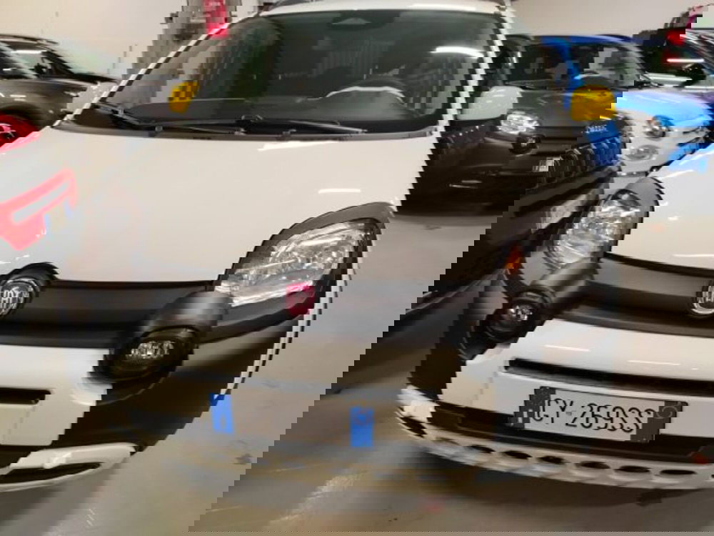 Fiat Panda usata a Forlì-Cesena (2)