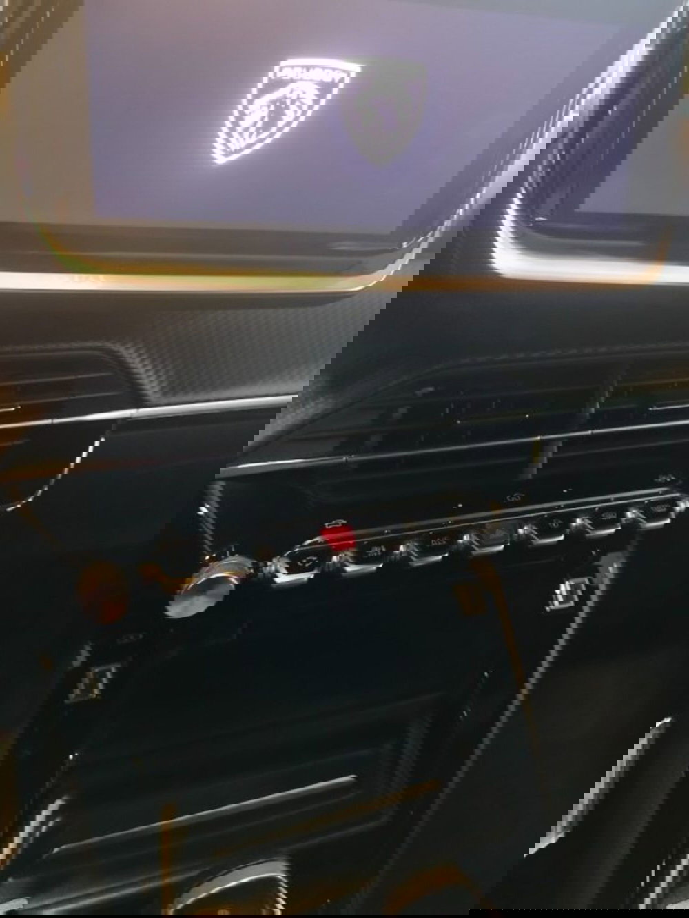 Peugeot 2008 usata a Forlì-Cesena (18)