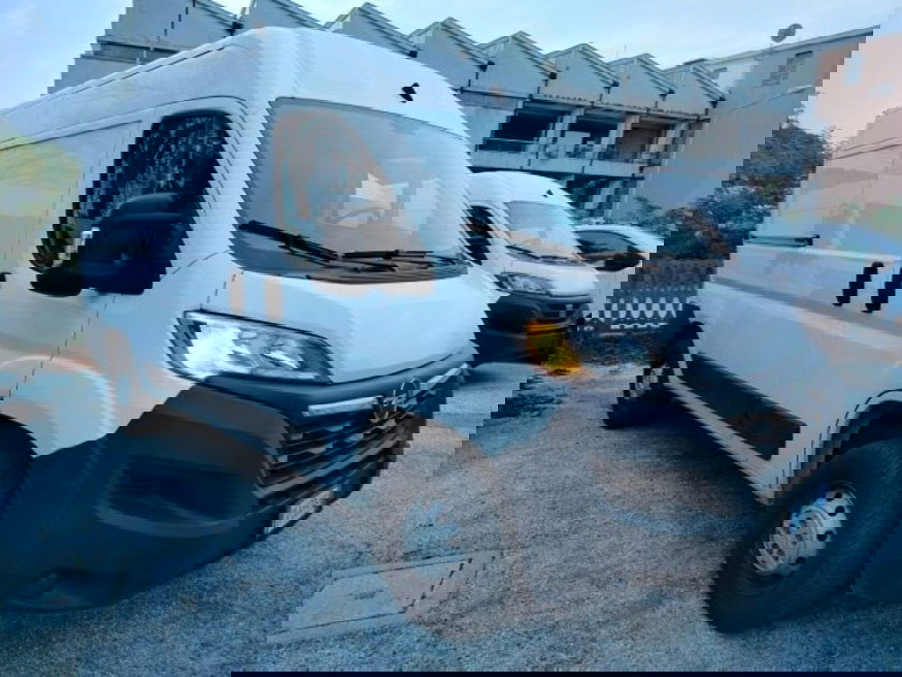 Opel Movano Furgone usata a Forlì-Cesena