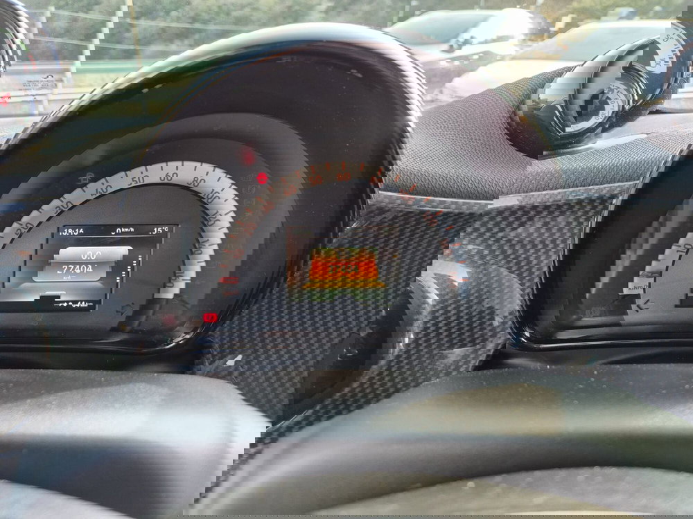 smart Fortwo usata  (12)