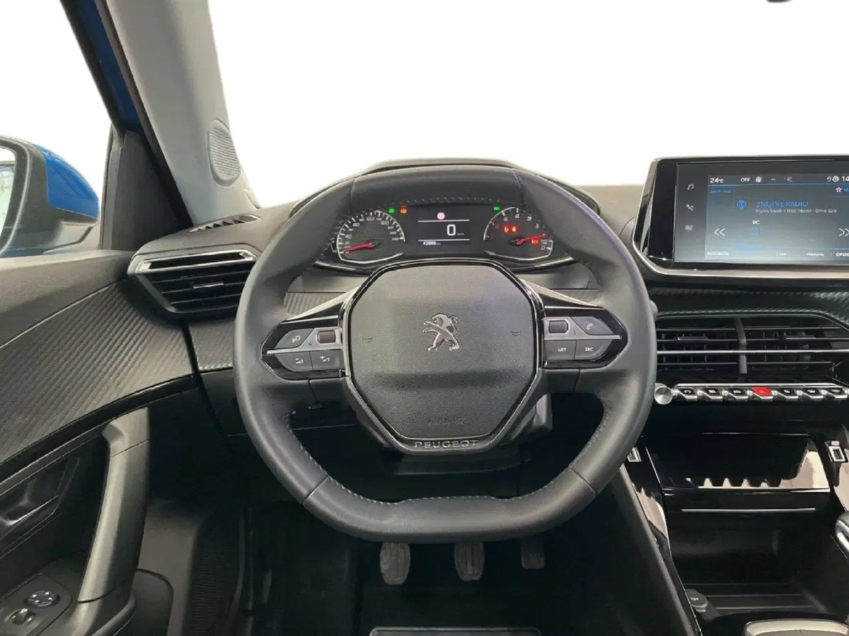 Peugeot 2008 usata a Torino (12)