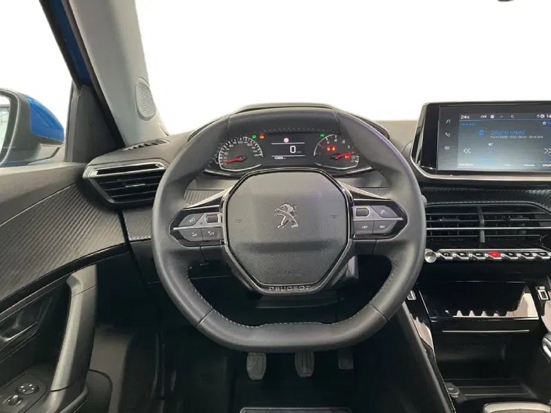 Peugeot 2008 usata a Torino (12)