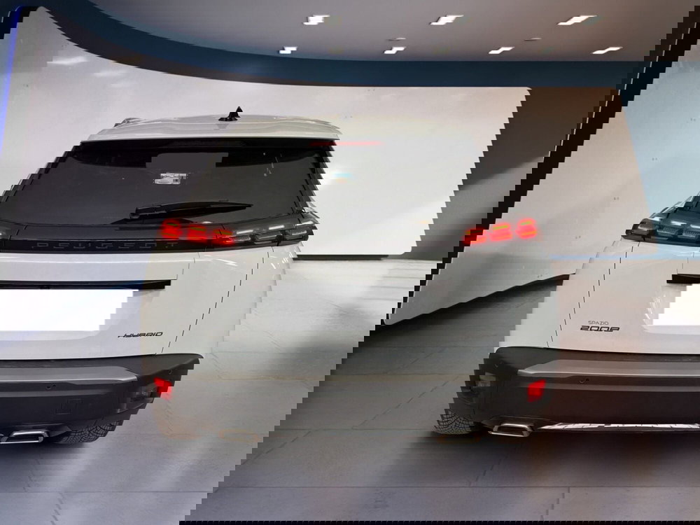 Peugeot 2008 usata a Torino (5)