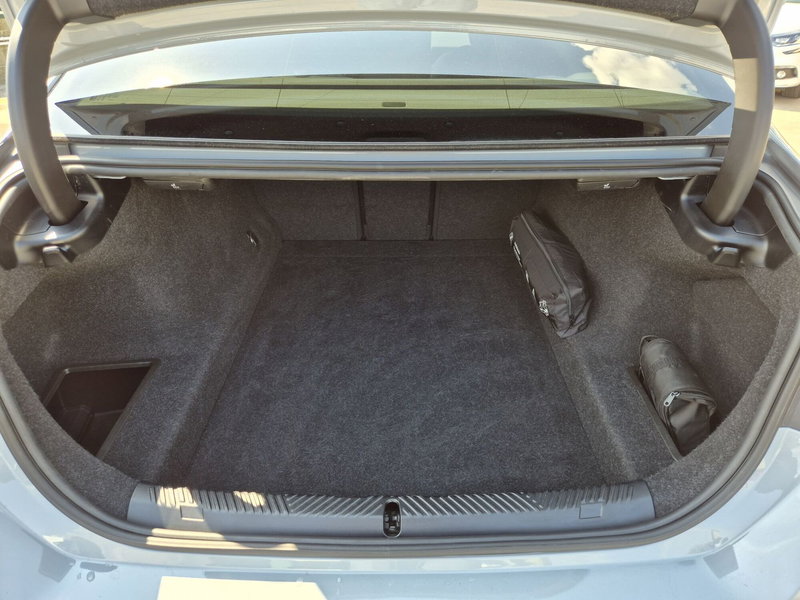 BMW Serie 5 usata  (12)