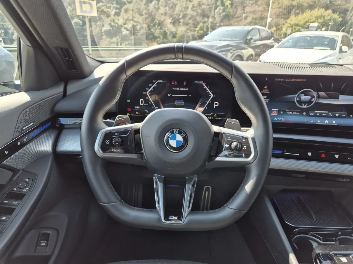 BMW Serie 5 usata  (19)