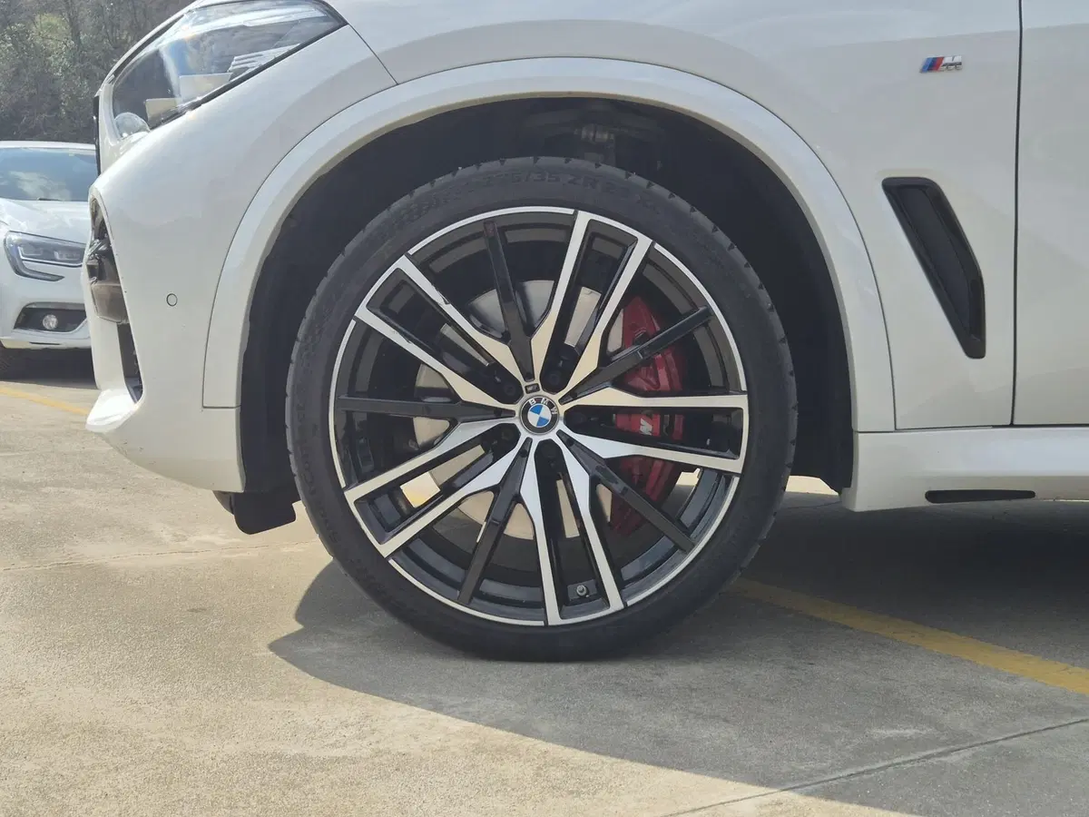 BMW X5 usata  (13)