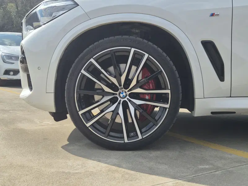 BMW X5 usata  (13)