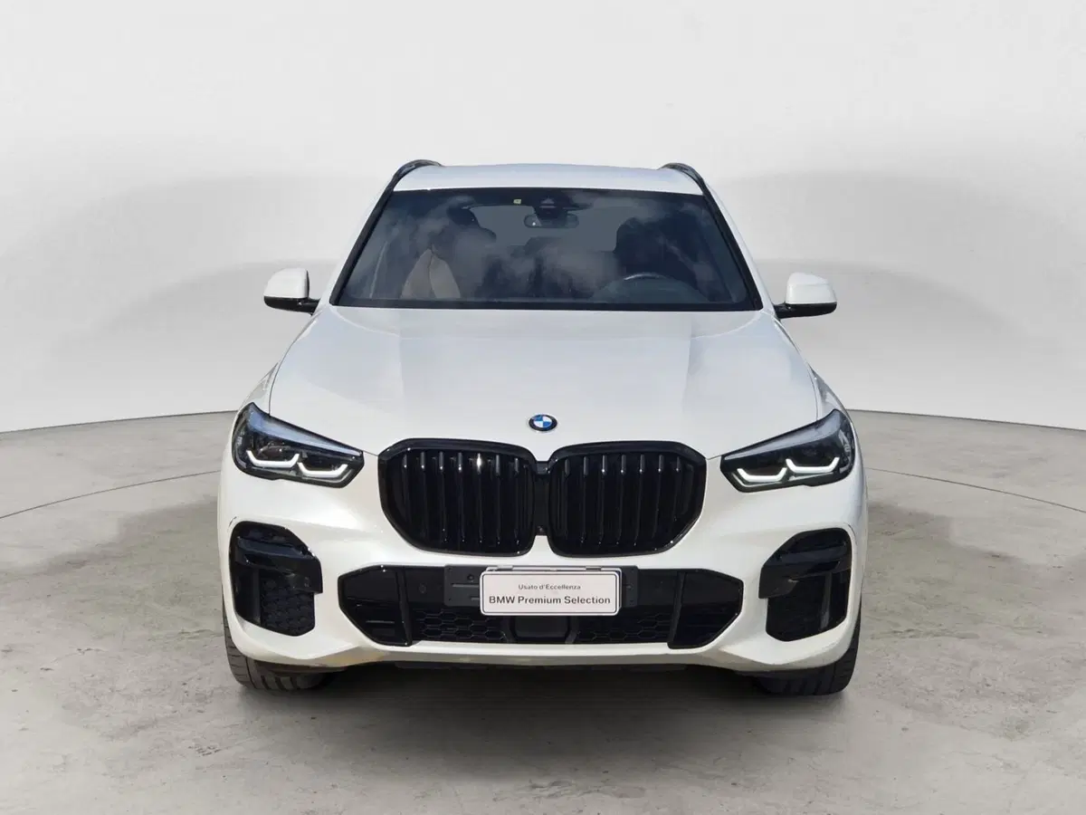BMW X5 usata  (2)