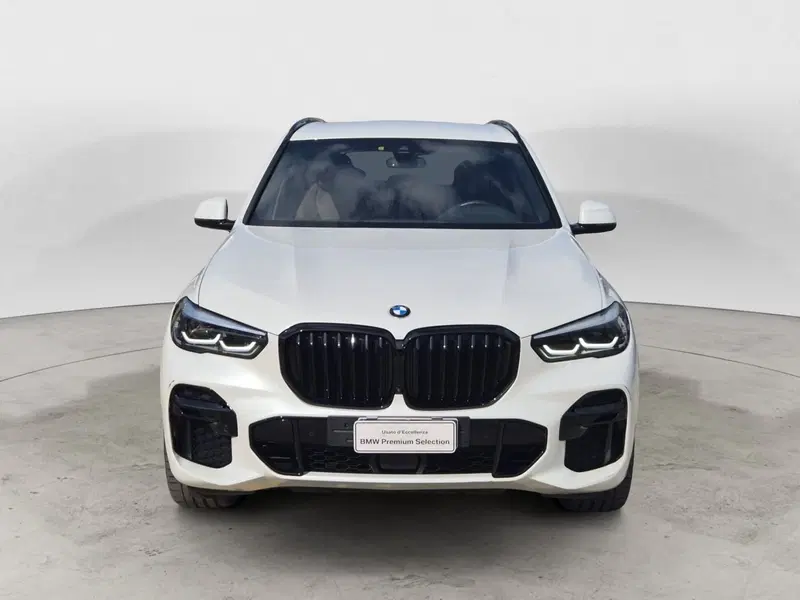 BMW X5 usata  (2)