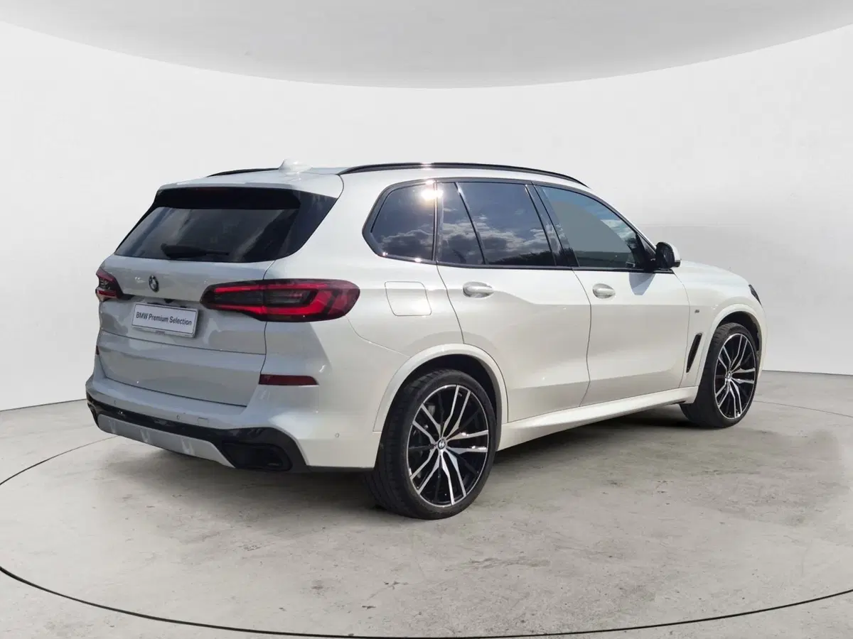 BMW X5 usata  (4)