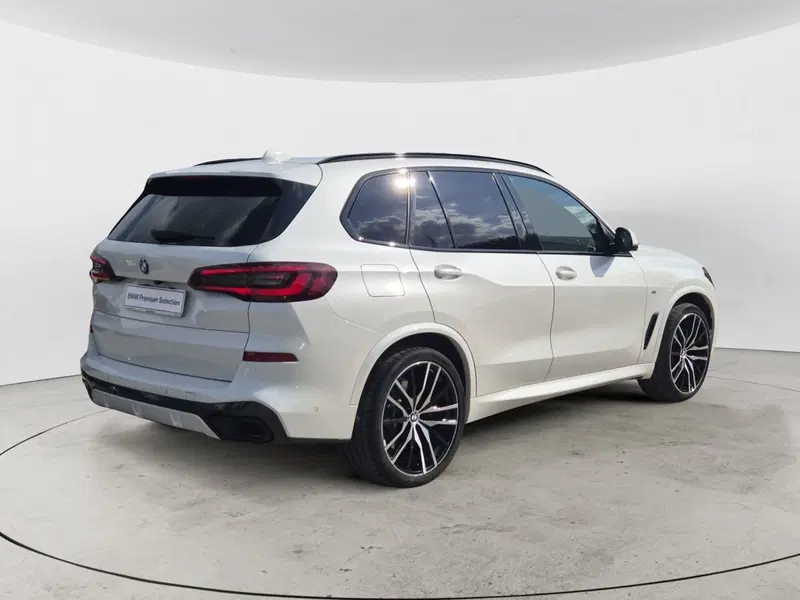 BMW X5 usata  (4)