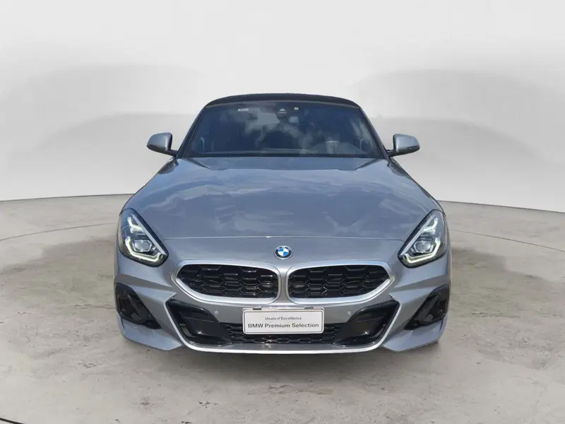 BMW Z4 Cabrio usata  (2)
