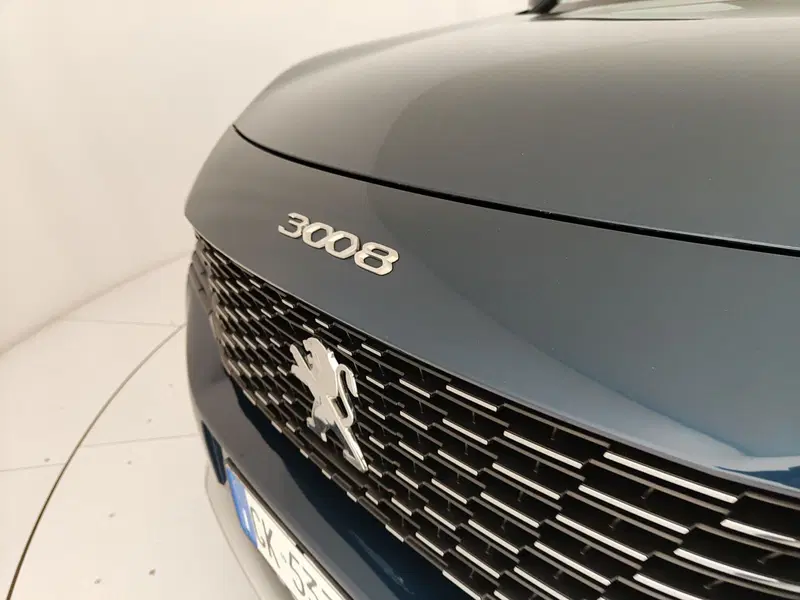 Peugeot 3008 usata a Caserta (10)