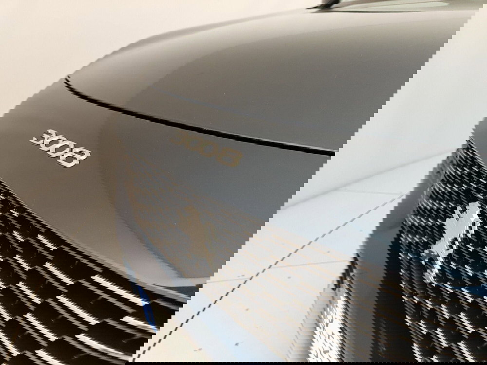 Peugeot 3008 usata a Caserta (10)