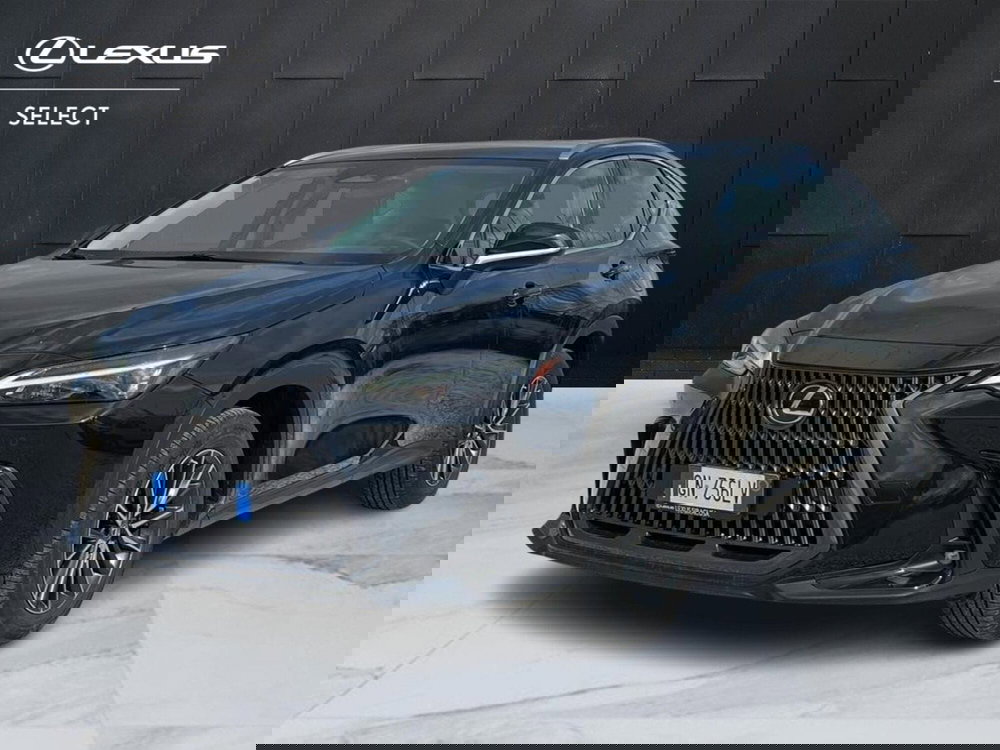 Lexus NX usata a Catania